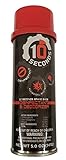 10 Seconds Shoe Disinfectant and Deodorizer, 5 Ounces